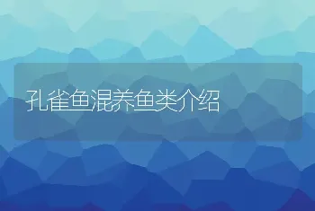 孔雀鱼混养鱼类介绍