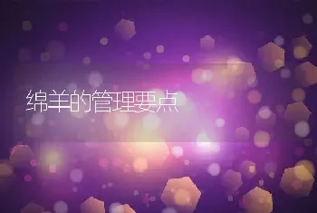 绵羊的管理要点