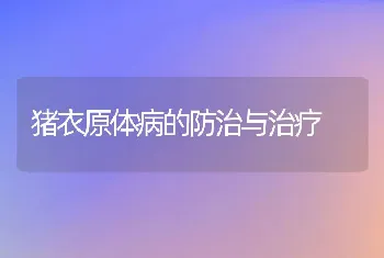 猪衣原体病的防治与治疗