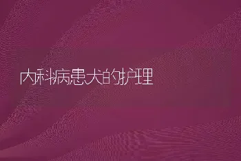 内科病患犬的护理