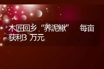 木匠回乡“养泥鳅” 每亩获利3万元