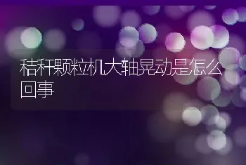 秸秆颗粒机大轴晃动是怎么回事