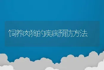 饲养肉狗的疾病预防方法