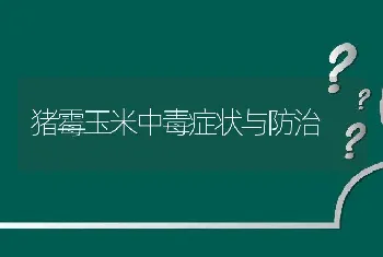 猪霉玉米中毒症状与防治