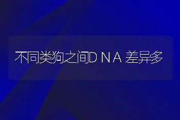 不同类狗之间DNA差异多