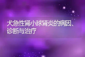 犬急性肾小球肾炎的病因、诊断与治疗