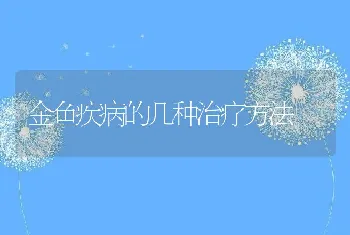 金鱼疾病的几种治疗方法