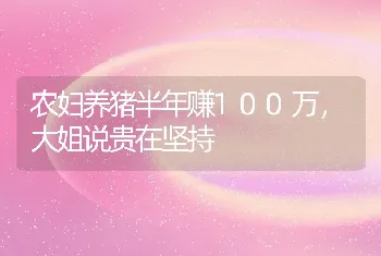 农妇养猪半年赚100万，大姐说贵在坚持