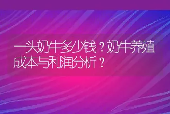 一头奶牛多少钱？奶牛养殖成本与利润分析？