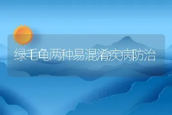 训犬要诀：摸清狗狗的行为动机