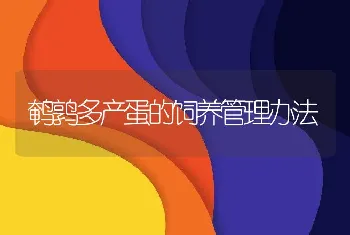 鹌鹑多产蛋的饲养管理办法