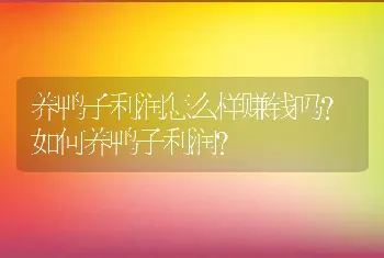 养鸭子利润怎么样赚钱吗？如何养鸭子利润?