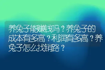 养兔子能赚钱吗？养兔子的成本有多高？