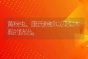 黄粉虫、康氏粉蚧以及梨木虱的防治。