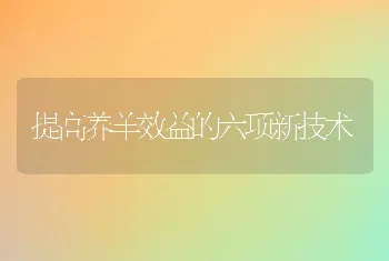 提高养羊效益的六项新技术