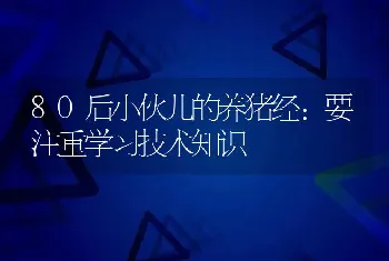 80后小伙儿的养猪经：要注重学习技术知识