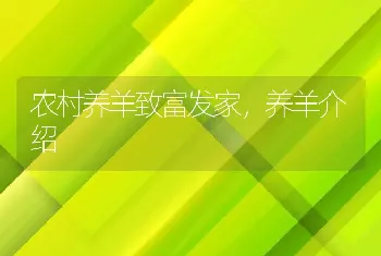 农村养羊致富发家，养羊介绍