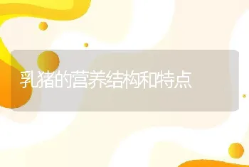 乳猪的营养结构和特点