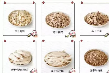 宠物零食该选什么样的好？冻干类零食是不错的选择！