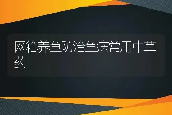 网箱养鱼防治鱼病常用中草药