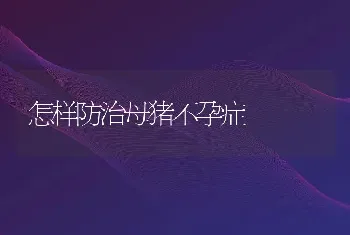 怎样防治母猪不孕症