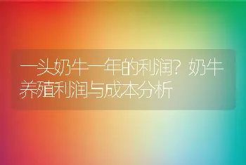 一头奶牛一年的利润？奶牛养殖利润与成本分析