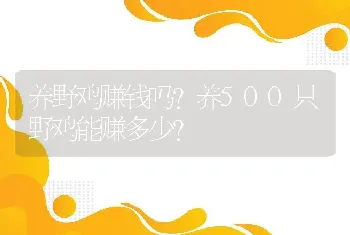 养野鸡赚钱吗?养500只野鸡能赚多少?