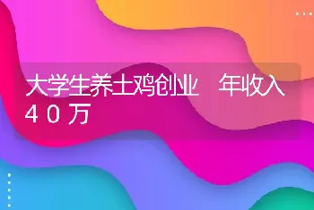 大学生养土鸡创业 年收入40万