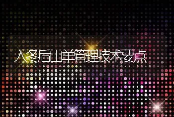 入冬后山羊管理技术要点