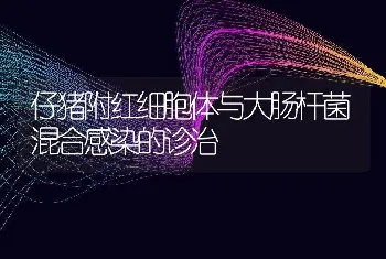 仔猪附红细胞体与大肠杆菌混合感染的诊治