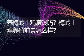 养梅岭土鸡赚钱吗？梅岭土鸡养殖前景怎么样？