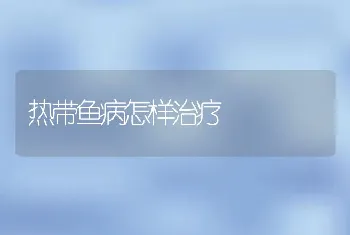 热带鱼病怎样治疗