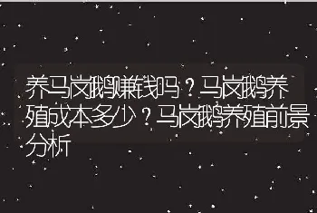 养马岗鹅赚钱吗？马岗鹅养殖成本多少？马岗鹅养殖前景分析