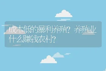 成本低的暴利养殖？养殖业什么赚钱农村？