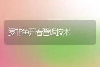 罗非鱼开春管理技术