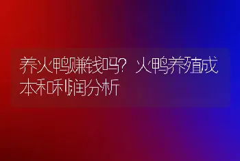 养火鸭赚钱吗？火鸭养殖成本和利润分析