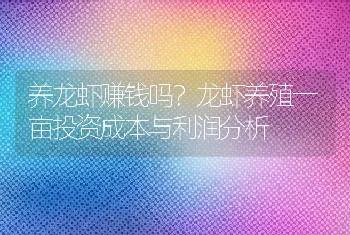 养龙虾赚钱吗？龙虾养殖一亩投资成本与利润分析