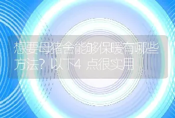 想要母猪舍能够保暖有哪些方法？以下4点很实用