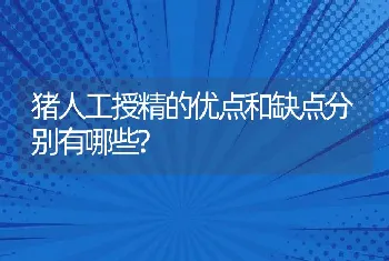 猪人工授精的优点和缺点分别有哪些?