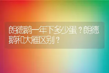 朗德鹅一年下多少蛋？朗德鹅和大雁区别？