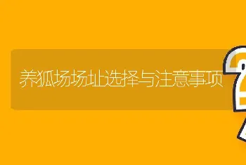 养狐场场址选择与注意事项