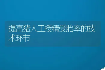 提高猪人工授精受胎率的技术环节