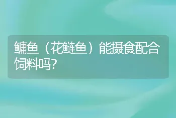 鳙鱼（花鲢鱼）能摄食配合饲料吗？