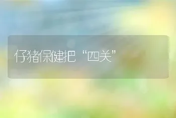 仔猪保健把“四关”