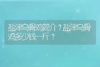 盐津乌骨鸡简介？盐津乌骨鸡多少钱一斤？