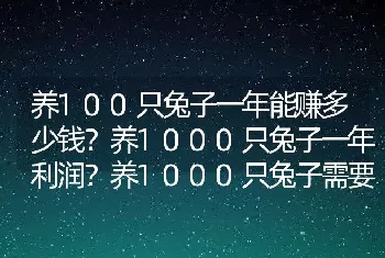 养100只兔子一年能赚多少钱？养1000只兔子一年利润？