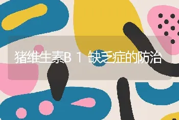 猪维生素B1缺乏症的防治