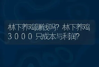 林下养鸡赚钱吗？林下养鸡3000只成本与利润？