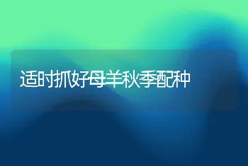 适时抓好母羊秋季配种