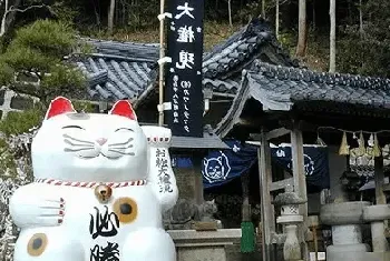 日本兴起空前的养猫热潮，猫市场是新风口？